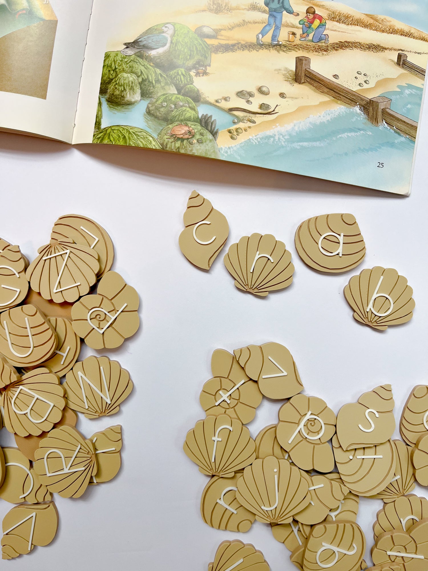 Seashells Alphabet Set