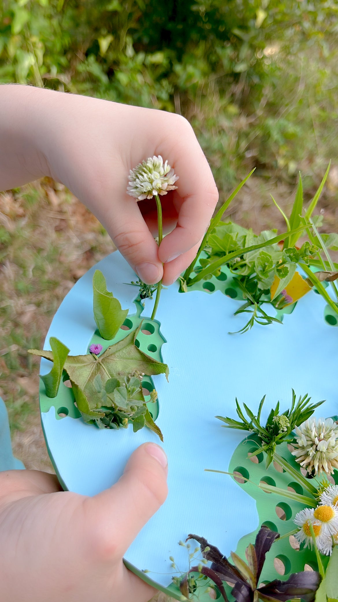 Earth Nature Display Board