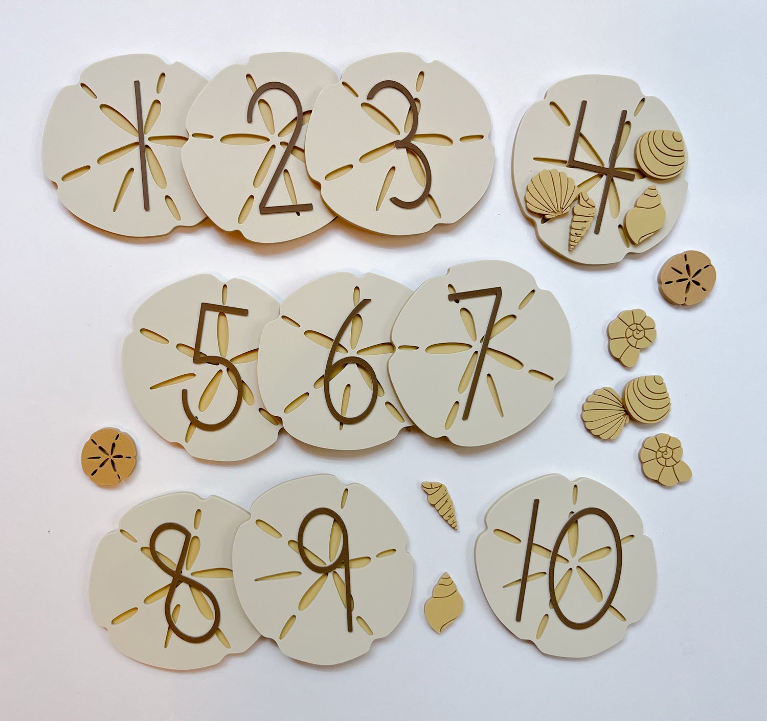 Extra Large Sand Dollar Counting Plates