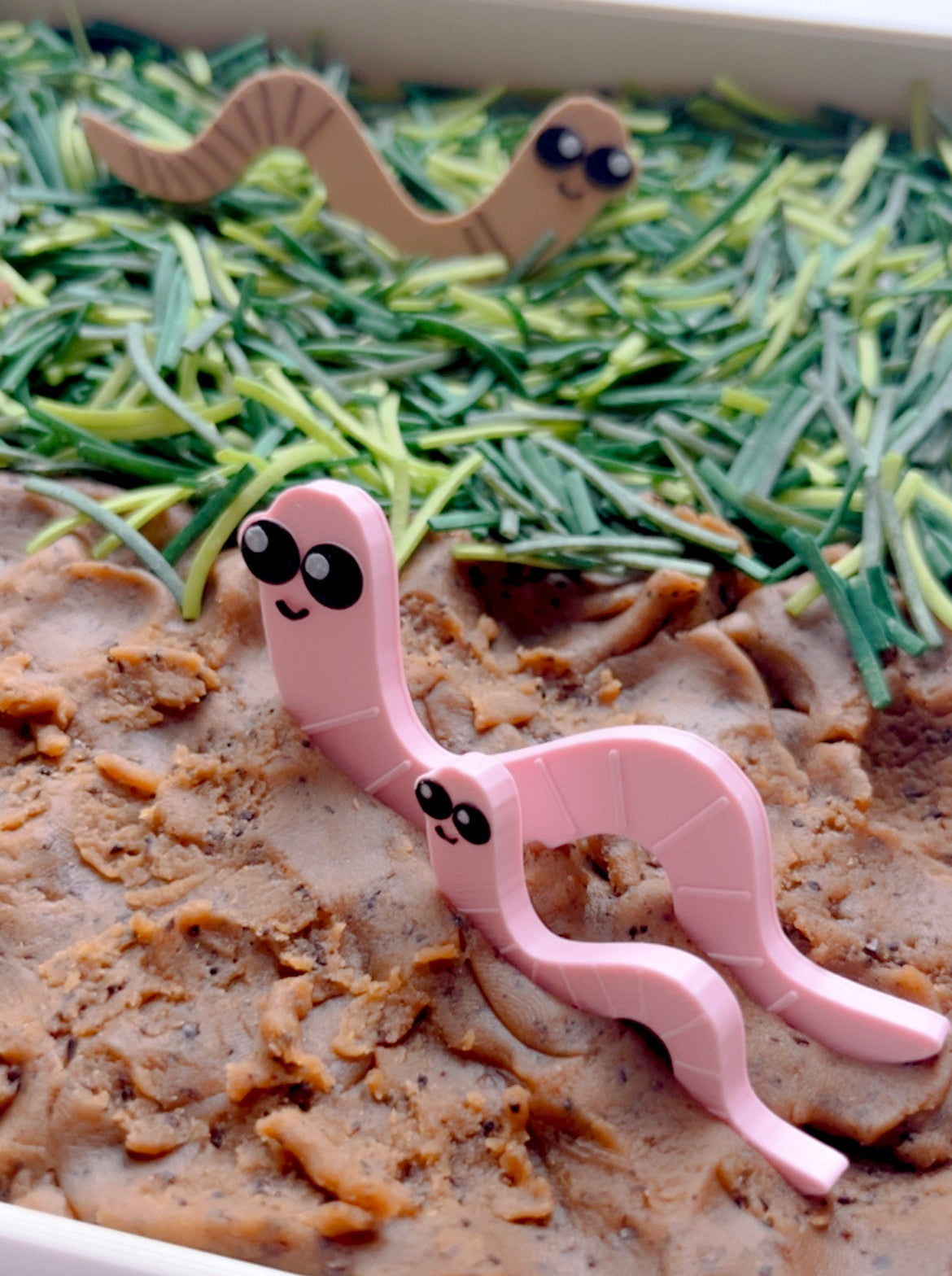 Earth Worms