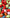 Holiday Light Bulk Set