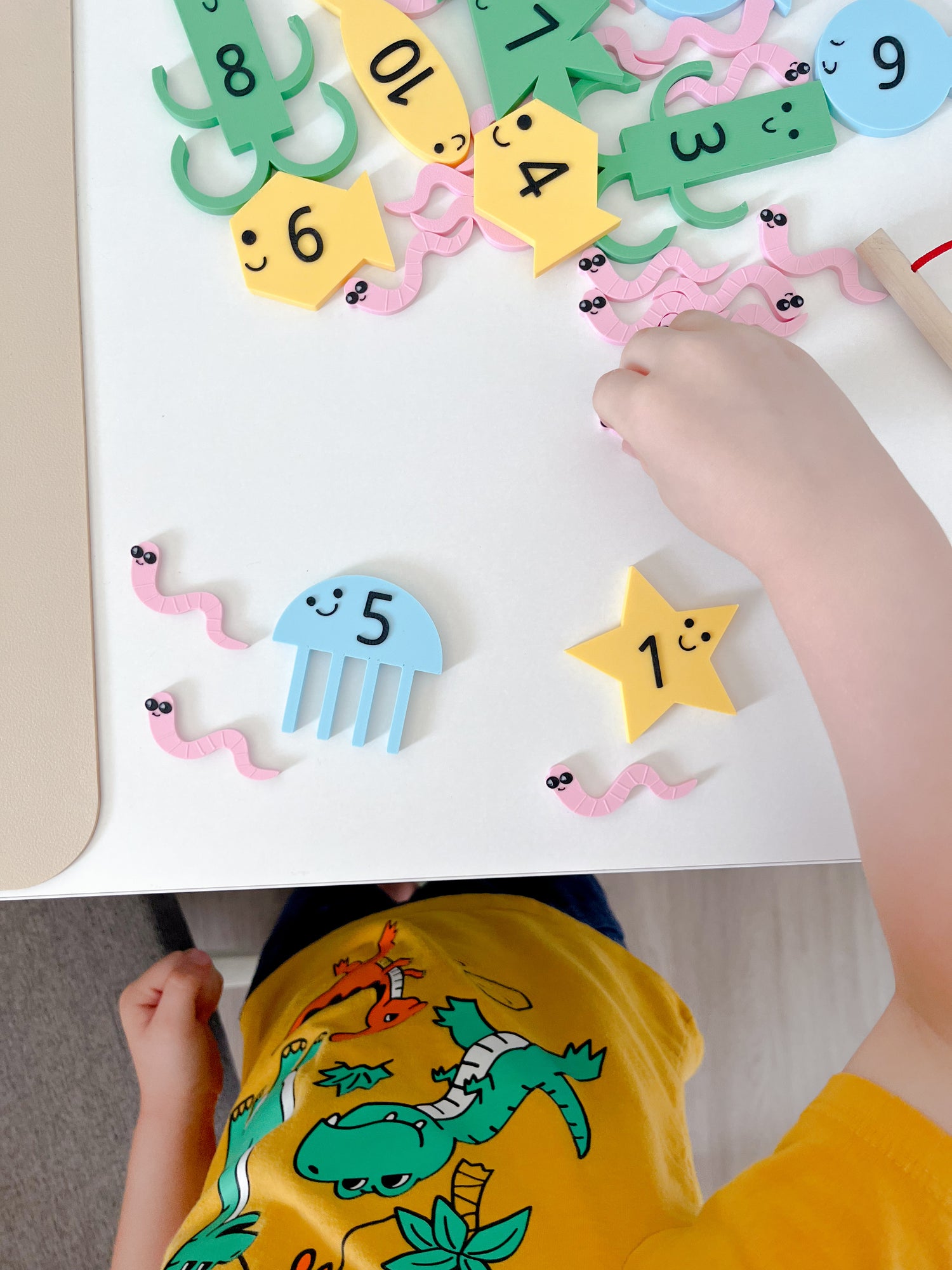 Catch and Count Magnetic Game
