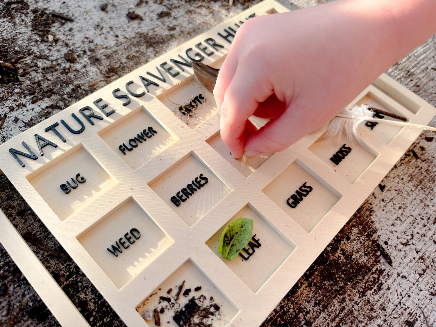 Nature Scavenger Hunt