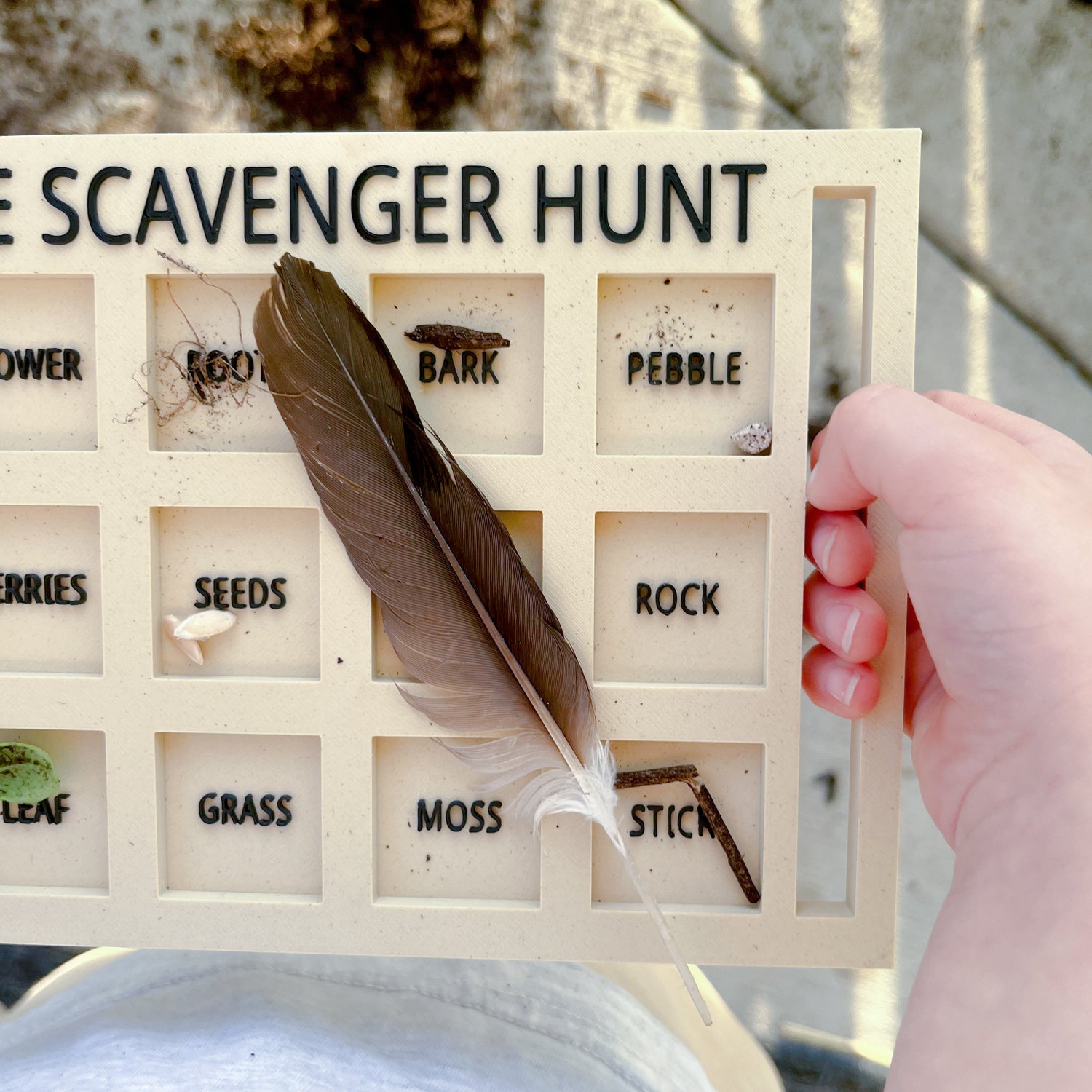 Nature Scavenger Hunt