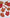 Extra Large Autumn Leaves Counting Plates